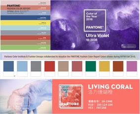 汕頭益佳軟件 以卓越產(chǎn)品與專業(yè)服務(wù)，賦能全球電商生態(tài)