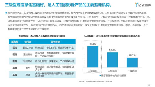 2021年人工智能醫(yī)學(xué)影像企業(yè)發(fā)展報告 聚焦人工智能基礎(chǔ)軟件開發(fā)